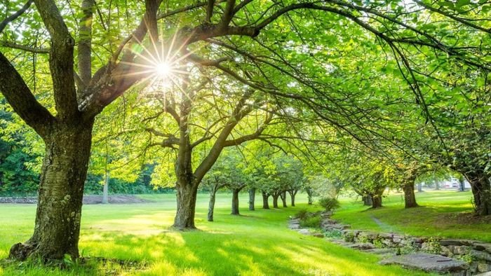 Mùa Hè – Thời Gian Của Năng Lượng và Khám Phá