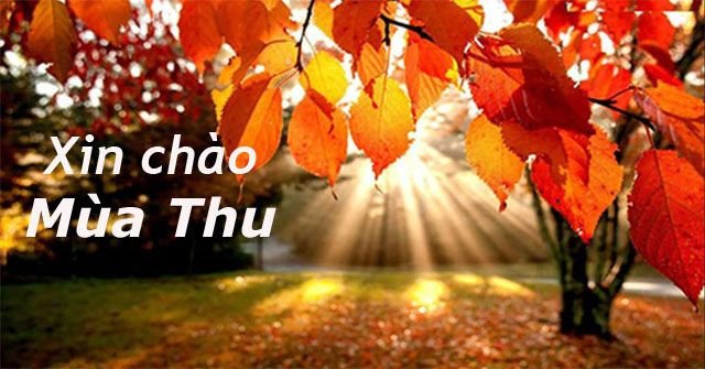 Mùa Thu: Lãng Mạn và Sắc Màu