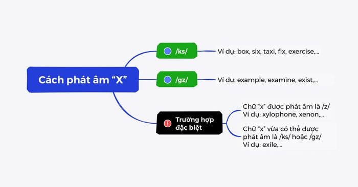 Nắm vững cách đọc chữ X để giao tiếp tự tin