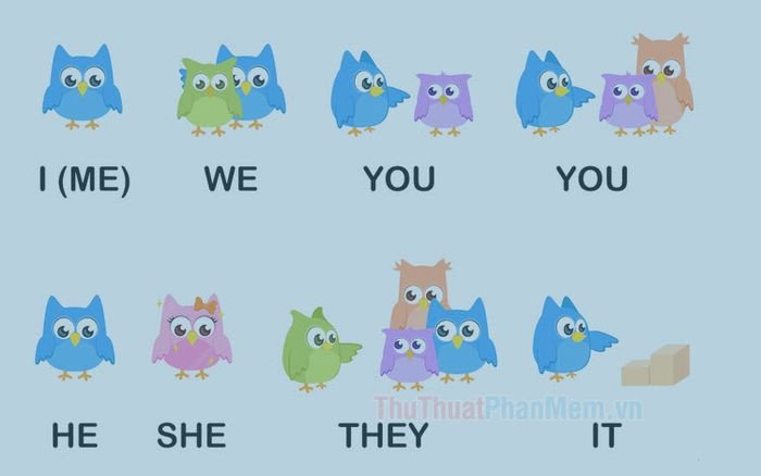 Ngôi thứ trong tiếng Anh và cách dùng đại từ nhân xưng.