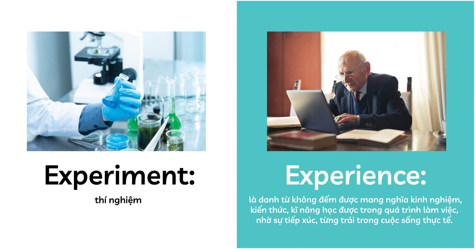 Phân biệt danh từ dễ nhầm lẫn Experiment và Experience