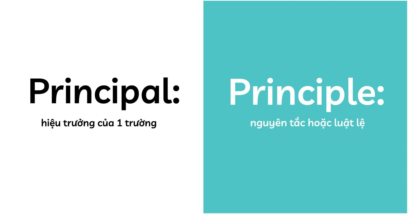 Phân biệt danh từ dễ nhầm lẫn Principal và Principle