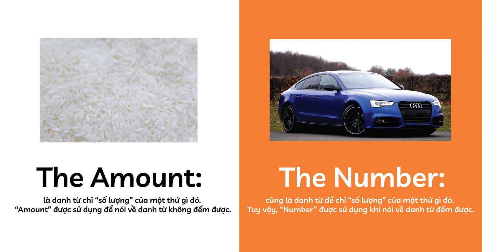 Phân biệt danh từ dễ nhầm lẫn The Amount và The Number