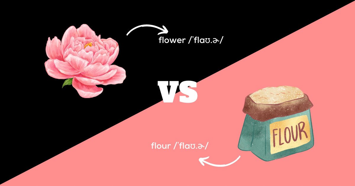 Phân biệt từ đồng âm Flower và Flour qua hình ảnh minh họa ý nghĩa