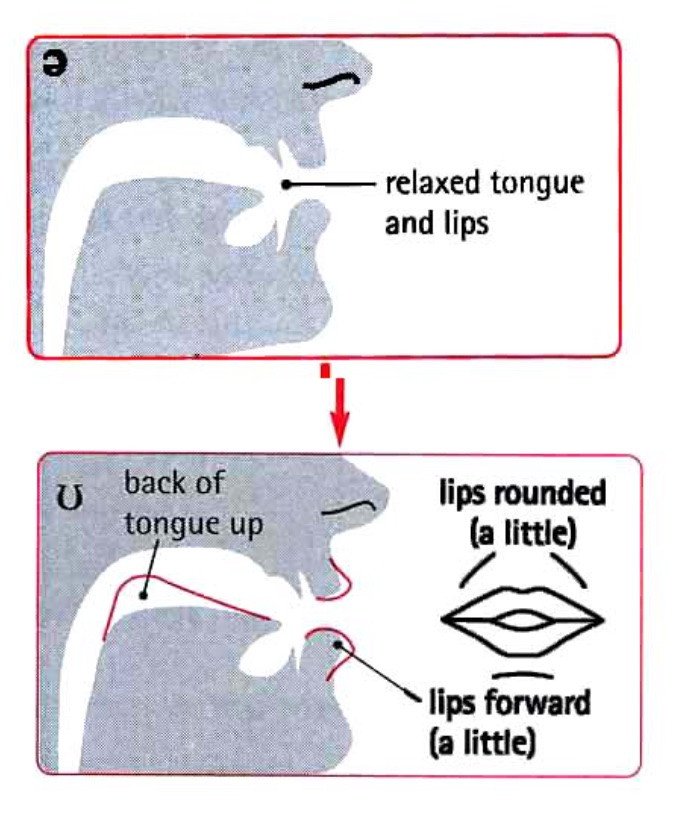 Phát âm nguyên âm ʊə