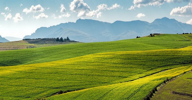 Phát triển nông nghiệp bền vững và năng suất mùa vụ trong IELTS Reading