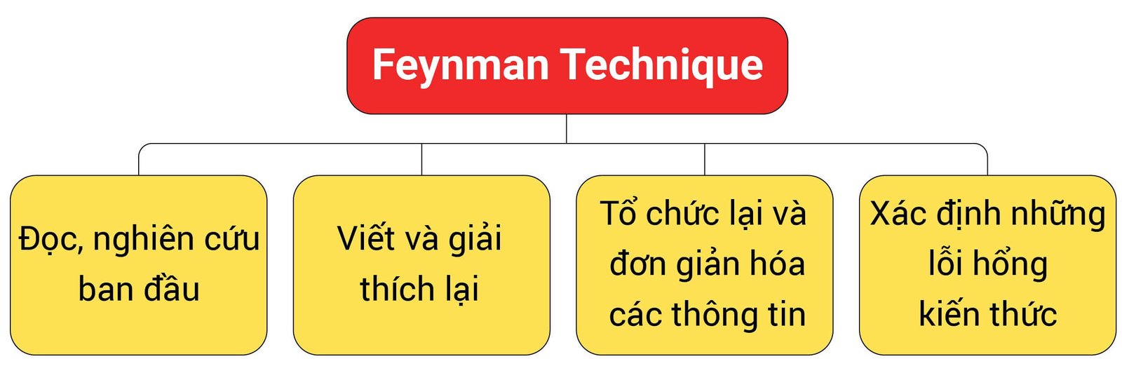 Sơ đồ 4 bước đơn giản của Kỹ thuật Feynman giúp ghi nhớ và hiểu sâu kiến thức