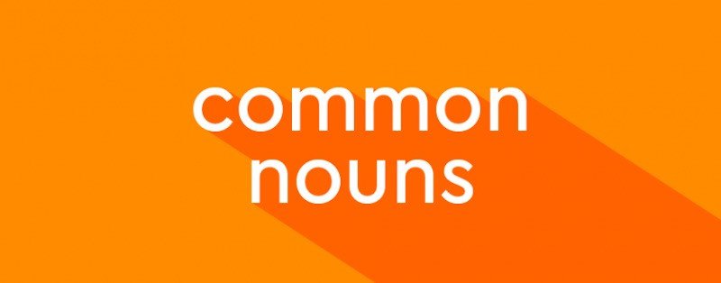 Sơ đồ minh họa các vai trò và chức năng của danh từ trong câu