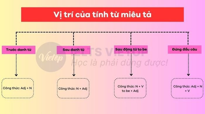 Sơ đồ minh họa các vị trí của tính từ mô tả trong câu tiếng Anh