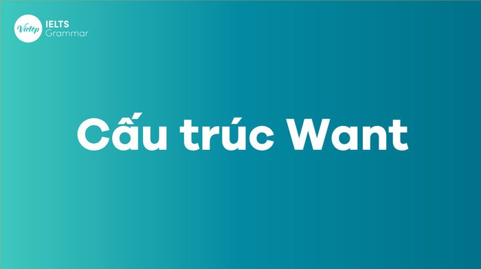Sơ đồ minh họa cấu trúc Want cơ bản trong ngữ pháp tiếng Anh
