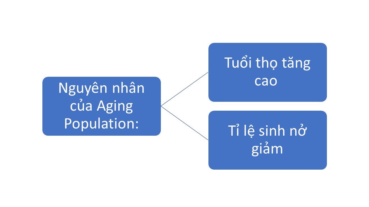 Sơ đồ nguyên nhân già hóa dân số với tuổi thọ tăng và tỷ lệ sinh giảm