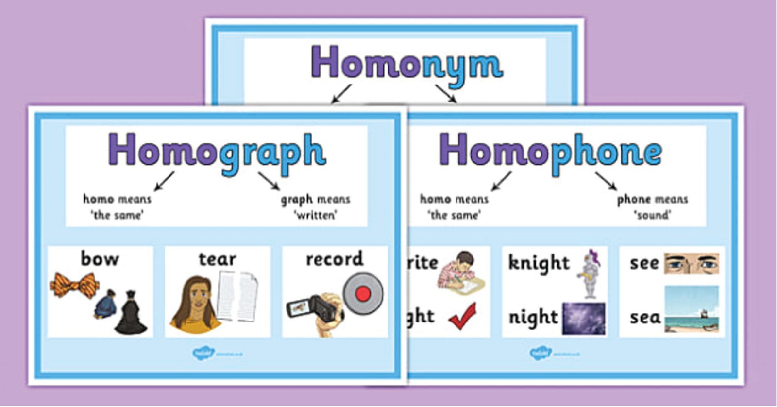 Sơ đồ phân loại Homonym thành Homograph và Homophone