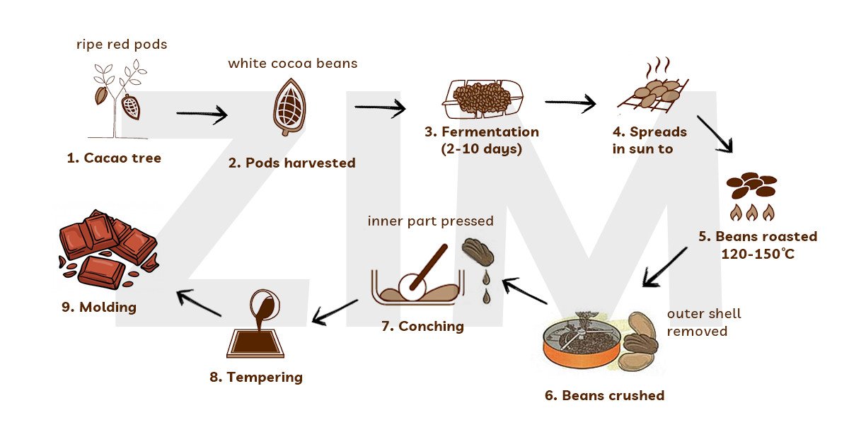 Sơ đồ quy trình sản xuất sô cô la trong đề thi IELTS Writing Task 1