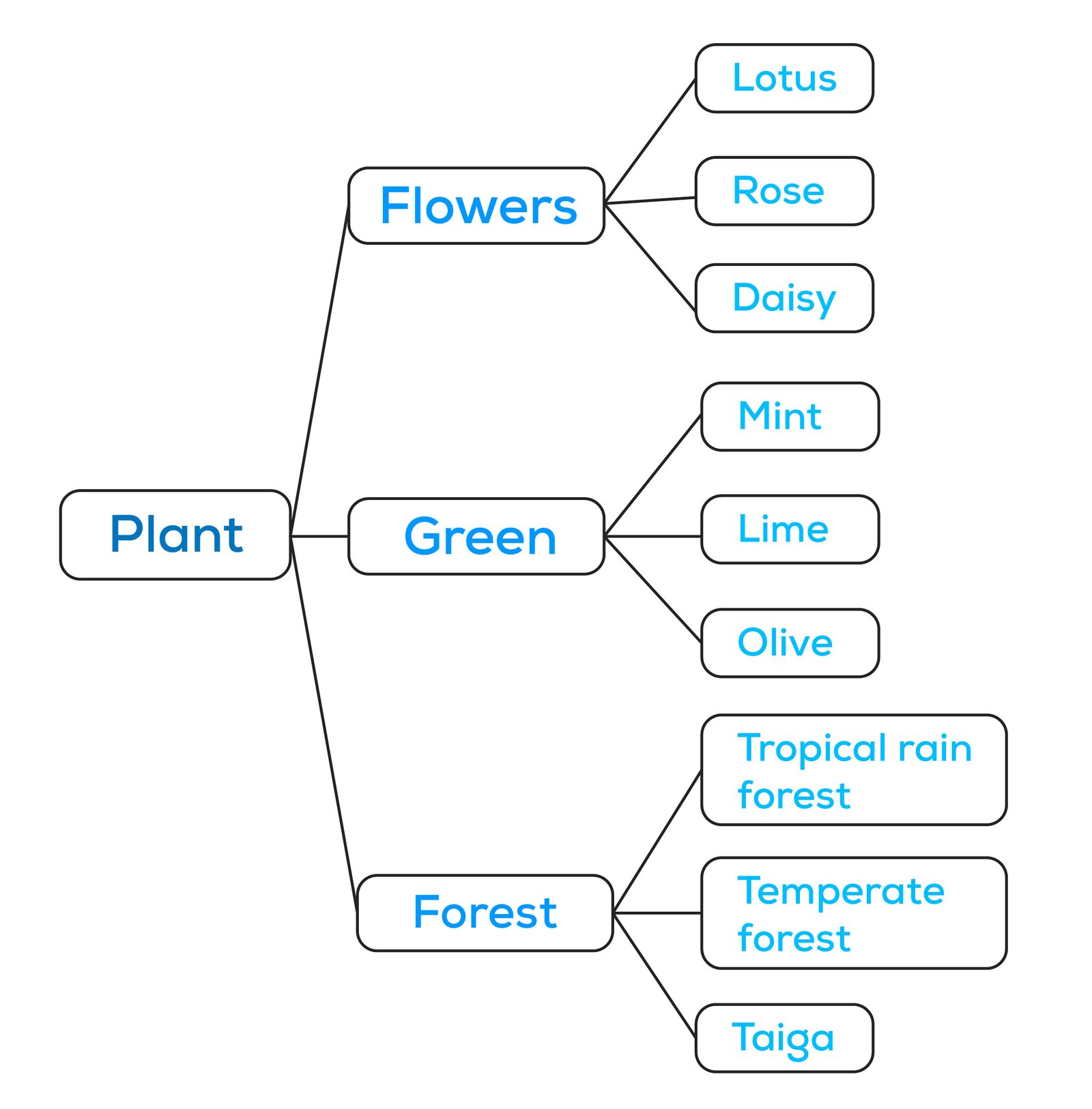 Sơ đồ ý tưởng mở rộng từ vựng chủ đề cây trồng với hyponym hiệu quả