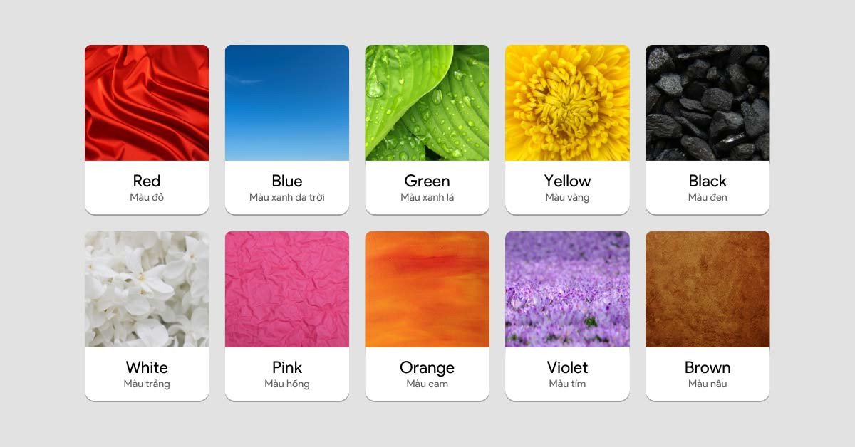 Sổ tay ghi chép từ vựng tiếng Anh cơ bản theo chủ đề giúp người mất gốc học hiệu quả.