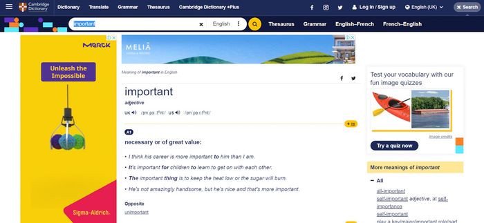 Sử dụng từ điển Anh-Anh giúp bạn tư duy bằng tiếng Anh hiệu quả