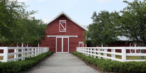 Thiết bị cơ bản trong trang trại chăn nuôi