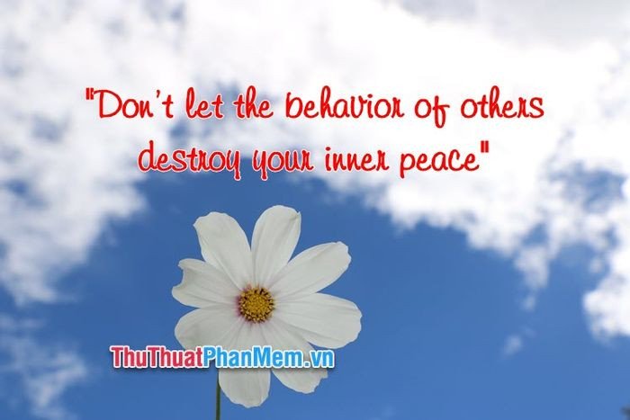 Thước đo cuộc đời qua caption tiếng Anh