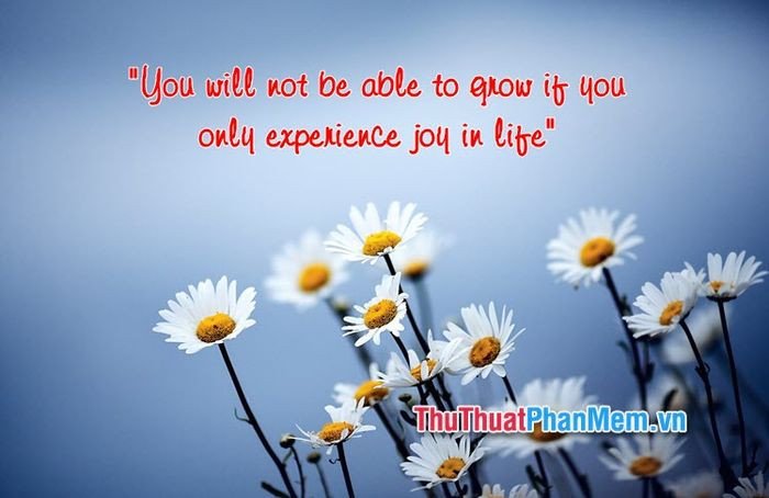 Tình bạn qua lăng kính của caption tiếng Anh chill