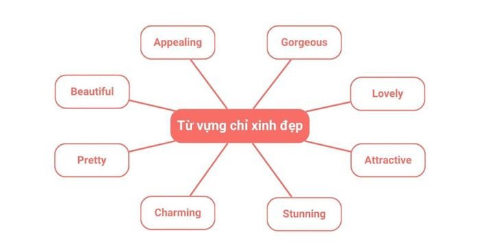 Tổng hợp từ vựng tiếng Anh miêu tả vẻ đẹp ngoại hình và khí chất