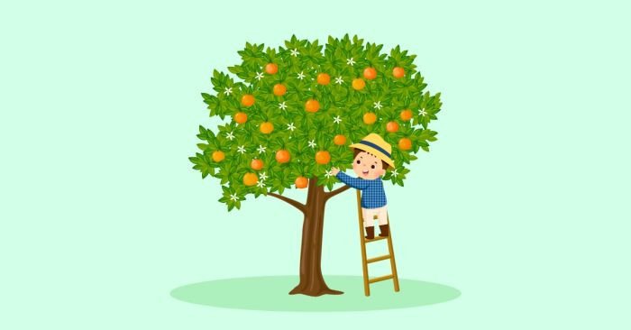 Tổng quan các phrasal verb với Pick thông dụng trong tiếng Anh