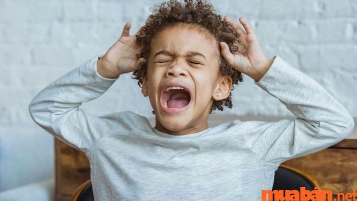 Trợ giảng tiếng Anh quản lý và xử lý học sinh gây rối trong lớp học