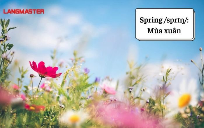 Từ vựng cơ bản về bốn mùa trong tiếng Anh như xuân, hạ, thu, đông