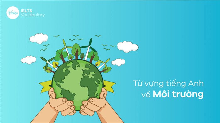 Từ vựng tiếng Anh liên quan đến môi trường và các vấn đề toàn cầu