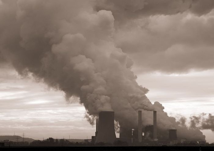 Ví dụ bài tập luyện dịch tiếng Anh thực hành