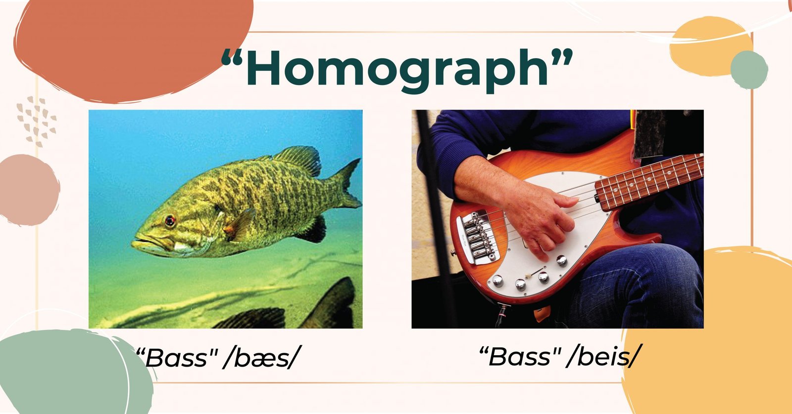 Ví dụ minh họa từ Homograph với từ Bass: cá và nhạc cụ