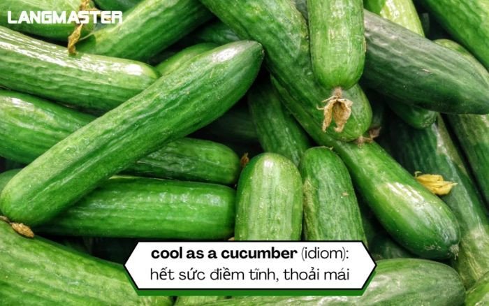 Thành ngữ về thức ăn: a piece of cake